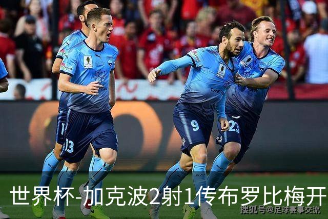 世界杯-加克波2射1传布罗比梅开二度 荷兰5-1大胜瑞典
