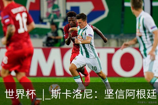 世界杯 | 斯卡洛尼：坚信阿根廷队会逆转