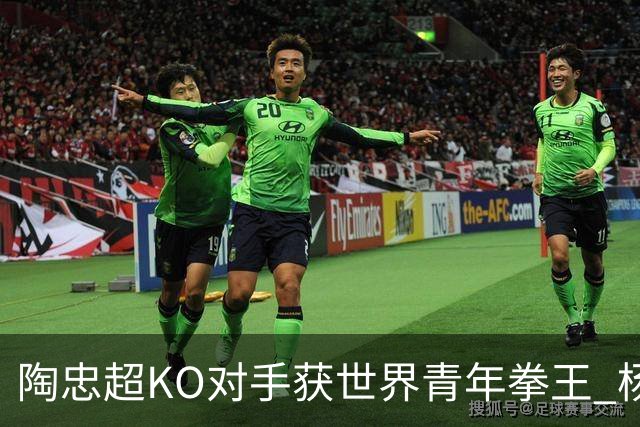 陶忠超KO对手获世界青年拳王 杨永强苦胜越老将