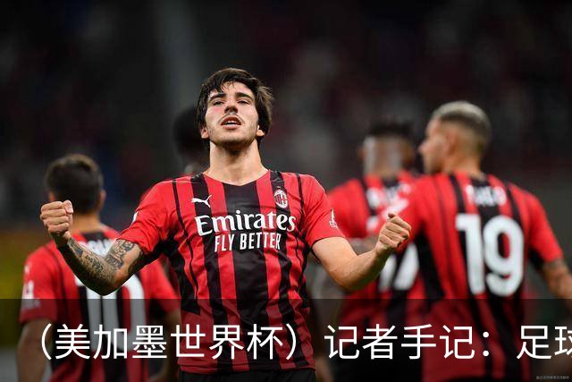（美加墨世界杯）记者手记：足球在美国，熟悉又陌生